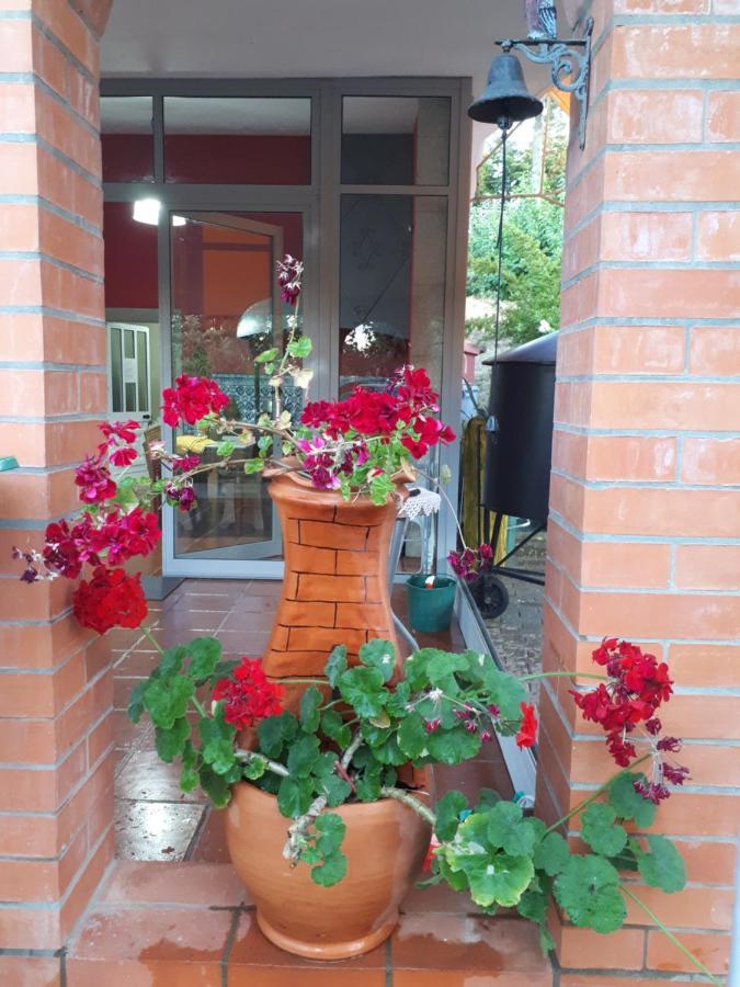 Quintinha Dos Cedros Villa อัลฟานเดกาดาเฟ ภายนอก รูปภาพ