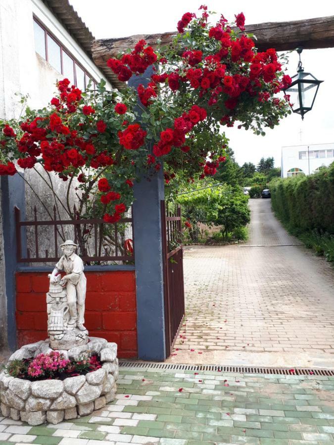 Quintinha Dos Cedros Villa อัลฟานเดกาดาเฟ ภายนอก รูปภาพ